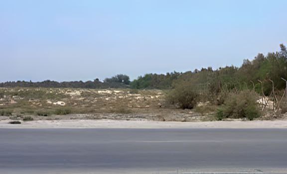 ����� �� ����� ��� ���� �� ������� ������ �����